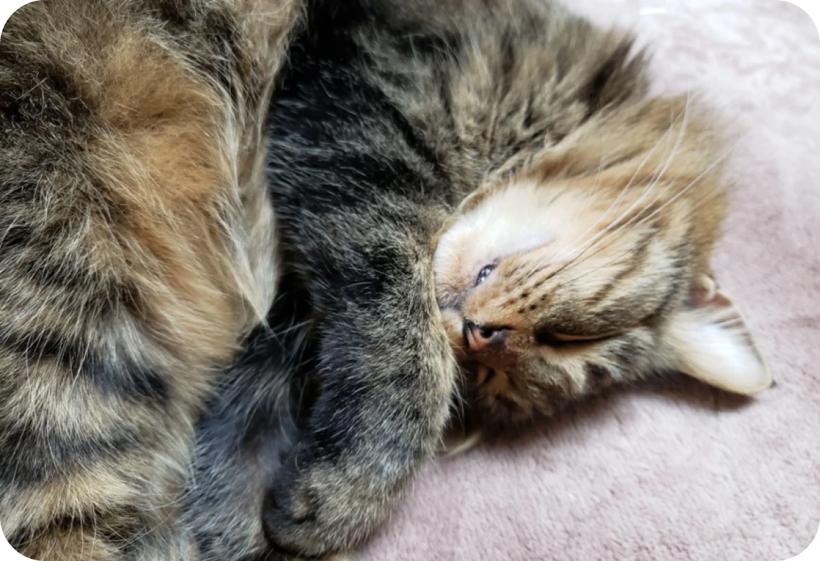 T.Fさんの写真