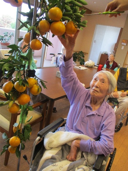 クリックで画像が拡大できます *