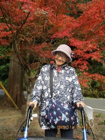 クリックで画像が拡大できます *